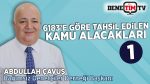 6183 Sayılı Kanuna Göre Tahsil Edilen Kamu Alacakları