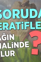 Kooperatiflerde Ortağın Ölümü Halinde Ne Olur? | 100 Soruda Kooperatif