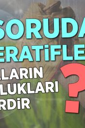 Kooperatiflerde Ortakların Sorumlulukları Nelerdir? | 100 Soruda Kooperatif