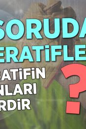 Kooperatifin Organları Nelerdir? | 100 Soruda Kooperatif