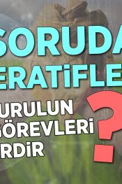 Genel Kurulun Yetki ve Görevleri Nelerdir? | 100 Soruda Kooperatif