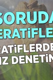 Kooperatiflerde Bağımsız Denetim | 100 Soruda Kooperatif