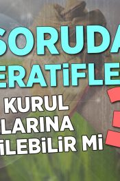 Genel Kurula İtiraz Edilebilir Mi? | 100 Soruda Kooperatif