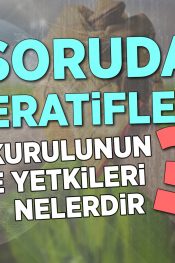 Kooperatif Yönetim Kurulunun Görev ve Yetkileri Nelerdir? | 100 Soruda Kooperatif