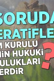 Kooperatiflerde Yönetim Kurulu Üyelerinin Hukuki Sorumlulukları Nelerdir? | 100 Soruda Kooperatif