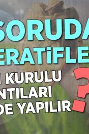 Kooperatiflerde Yönetim Kurulu Toplantıları Ne Şekilde Yapılır? | 100 Soruda Kooperatif