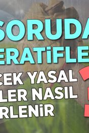 Kooperatiflerde Ödenecek Yasal Ödentiler Nasıl Belirlenir? | 100 Soruda Kooperatif