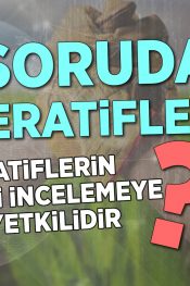 Kooperatiflerin Belgelerini İncelemeye Kimler Yetkilidir? | 100 Soruda Kooperatif