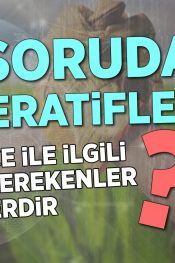 Kooperatiflerde Yedek Akçe İle İlgili Bilinmesi Gerekenler Nelerdir? | 100 Soruda Kooperatif