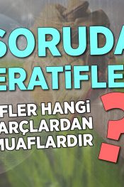Kooperatifler Hangi Vergi ve Harçlardan Muaflardır? | 100 Soruda Kooperatif