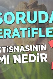 Risturn İstisnasının Kapsamı Nedir? | 100 Soruda Kooperatif