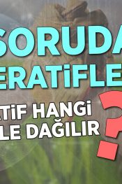 Kooperatif Hangi Sebeplerle Dağılır? | 100 Soruda Kooperatif
