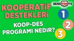 KOOP-DES Nedir? | 50 Soruda KOOP-DES