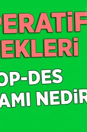 KOOP-DES Nedir? | 50 Soruda KOOP-DES