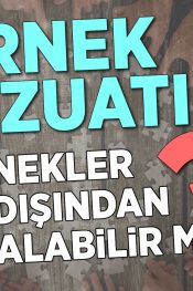 Dernekler Yurt Dışından Yardım Alabilir Mi?
