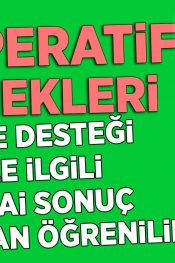 Hibe Desteği İle İlgili Nihai Sonuç Ne Zaman Öğrenilir? | 50 Soruda KOOP-DES
