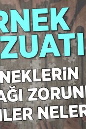 Derneklerin Yapacağı Zorunlu Bildirimler Nelerdir?