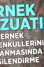 Dernek Gayrimenkullerinin Kiralanması Durumunda Nasıl Vergilendirilir?