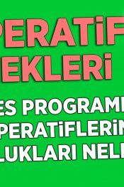 KOOP-DES Programında Kooperatiflerin Sorumlulukları Nelerdir? | 50 Soruda KOOP-DES