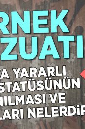Kamuya Yararlı Dernek Statüsünün Kazanılması ve Avantajları Nelerdir?