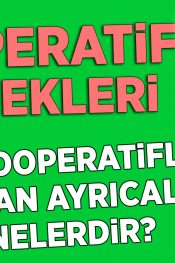 Kadın Kooperatiflerine Sağlanan Ayrıcalıklar Nelerdir? | 50 Soruda KOOP-DES