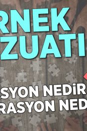 Federasyon Nedir, Nasıl Kurulur? | Konfederasyon Nedir, Nasıl Kurulur?